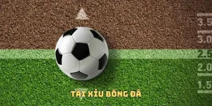 tài xỉu bóng đá
