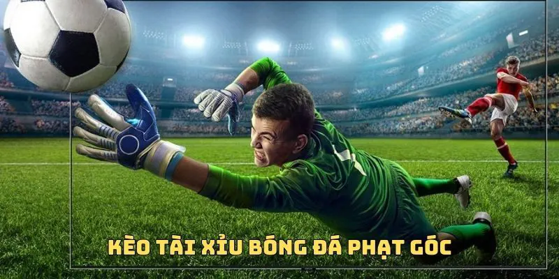 Nhiều người chơi đã ẵm thưởng lớn với kèo tài xỉu bóng đá phạt góc
